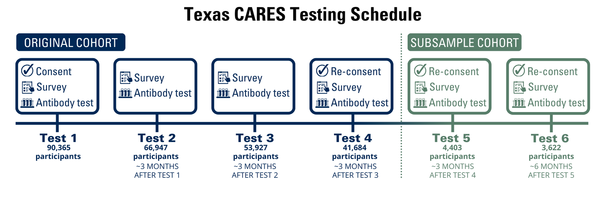 Timeline for TXC web-ENG_complete.png